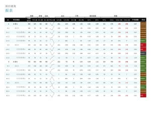 项目绩效报表