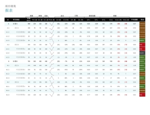 项目绩效报表